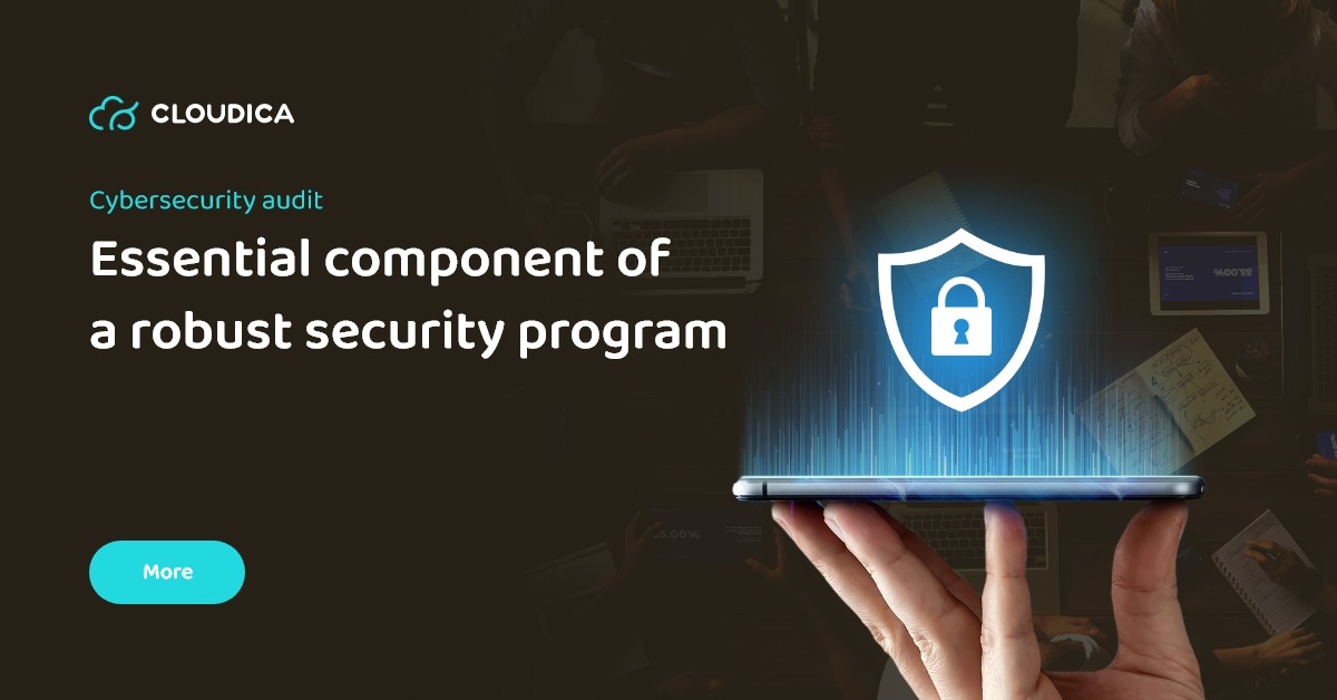 Cybersecurity Audit for your business